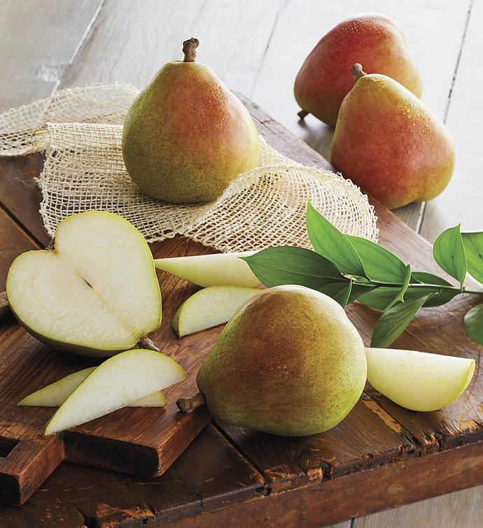 "Healthy Wishes" Pears and Apples